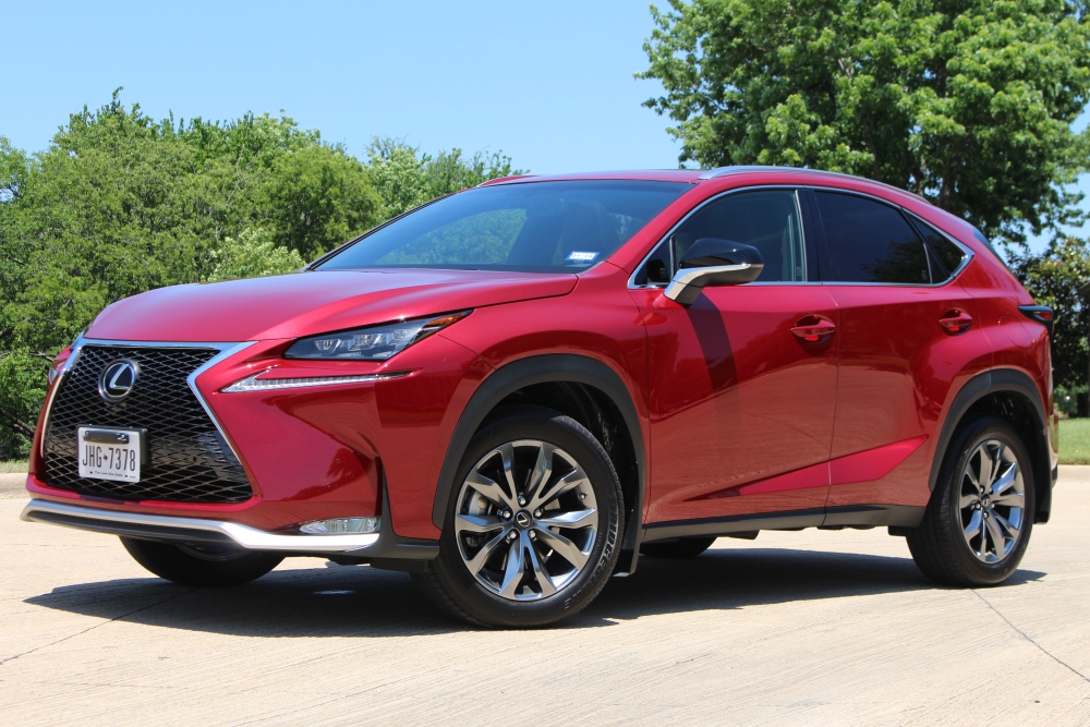 Dog-Friendly Features of the 2017 Lexus NX
