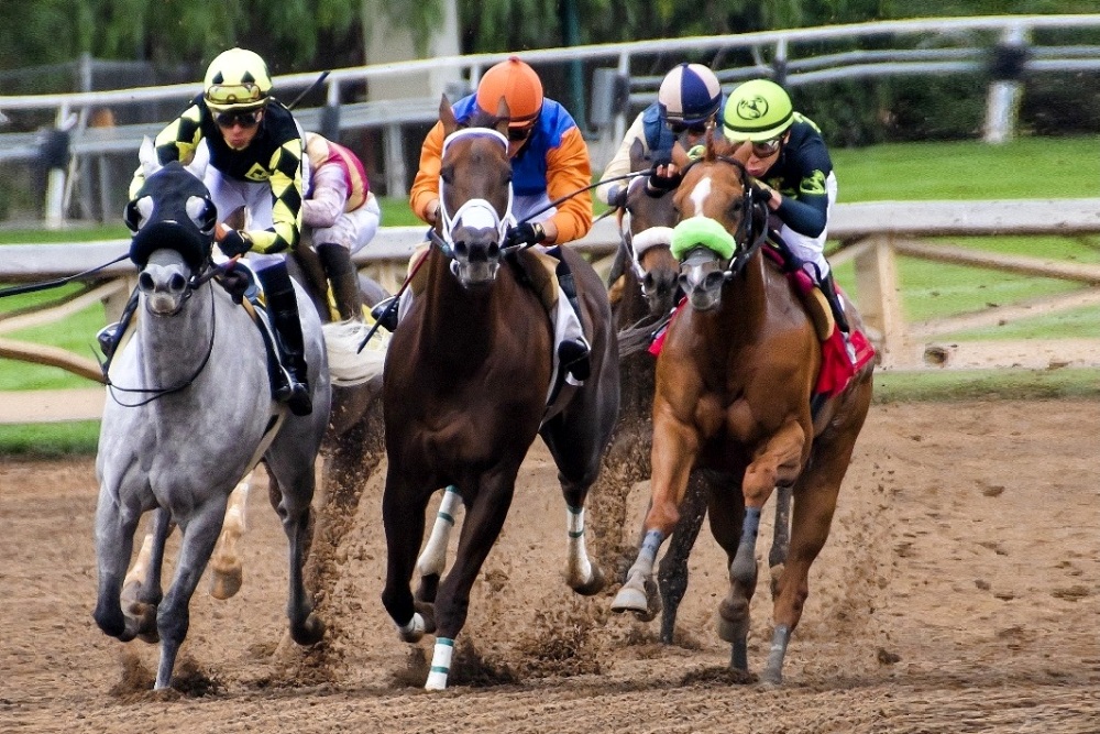 Horse Racing | Race Track Information, Parimutuel Betting, Sports News | Sports and Recreation