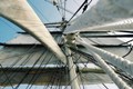Tall Ships are Coming to Galveston Island in April