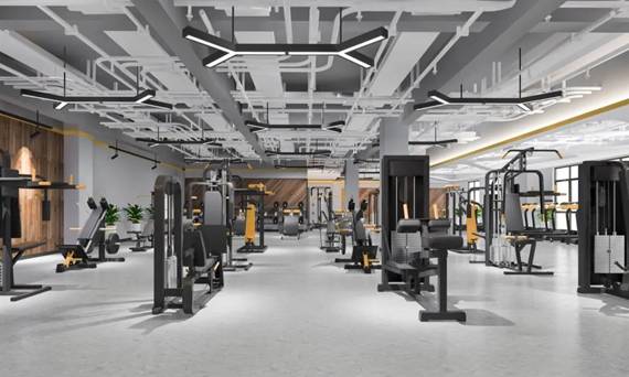 From Red Carpets to Row Machines: How Celebrities Are Redefining Home Fitness Culture
