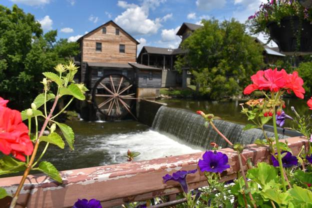 This mountain town blends natural beauty with simple pleasures, creating the perfect environment to slow down and reconnect. Unplugged in the Smokies: How a Family Trip to Pigeon Forge Can Reconnect You