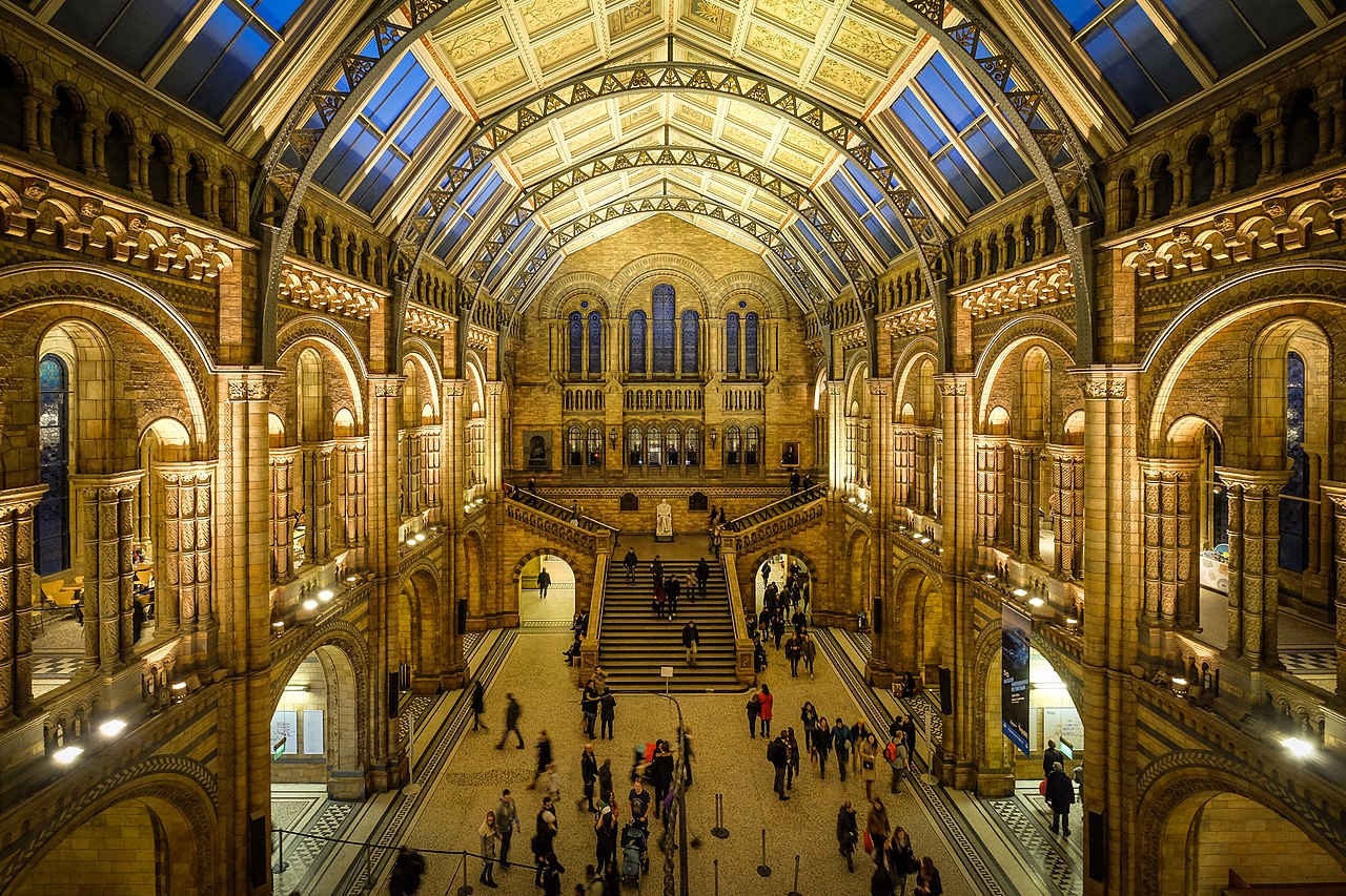 The Largest Dinosaur British Museum Has Ever Seen