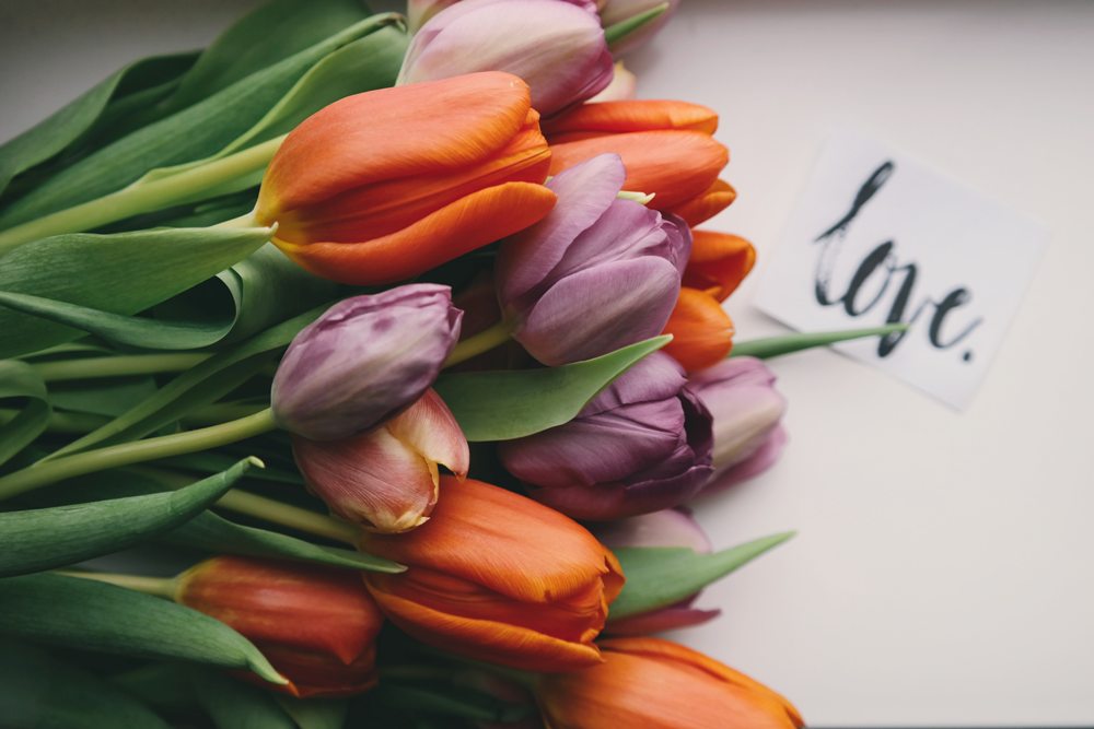 Creative gifts can serve as a powerful way to communicate love, shared values, and the uniqueness of a relationship. 5 Creative Gifts That Show Real Love