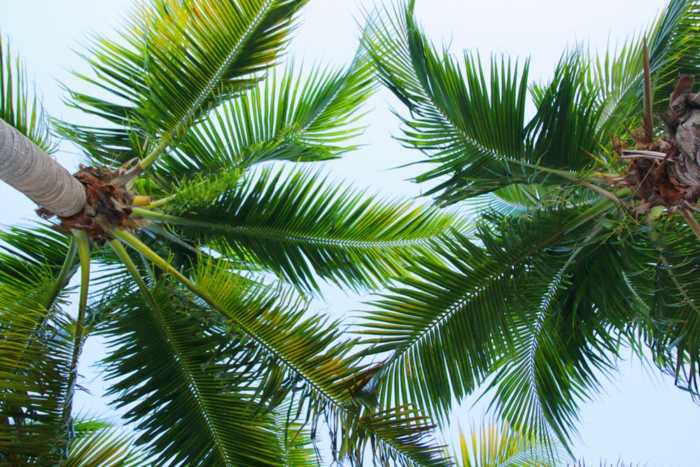 Visiting some of the best-known locations out of the high season can help you enjoy a more intimate, relaxing experience. How to Find Affordable Luxury in Popular Destinations