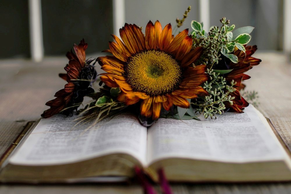 Bible Verses for Everyday Living