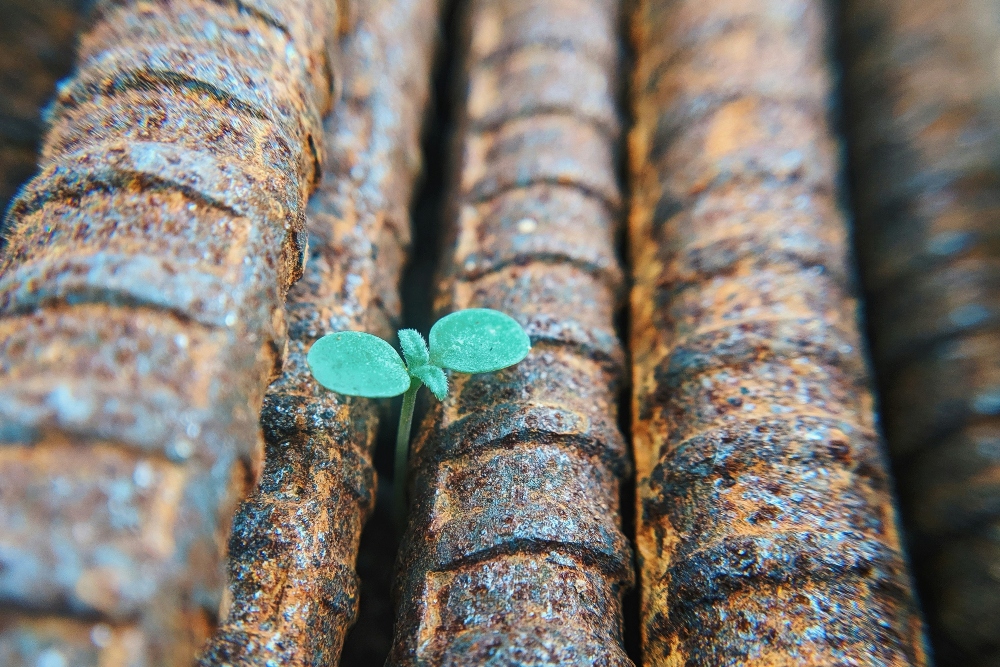 Reveal enduring scripture passages on overcoming adversity, finding faith in God's presence through every hardship and trial. Bible Verses About Overcoming Adversity
