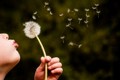 Bible Verses About Faith
