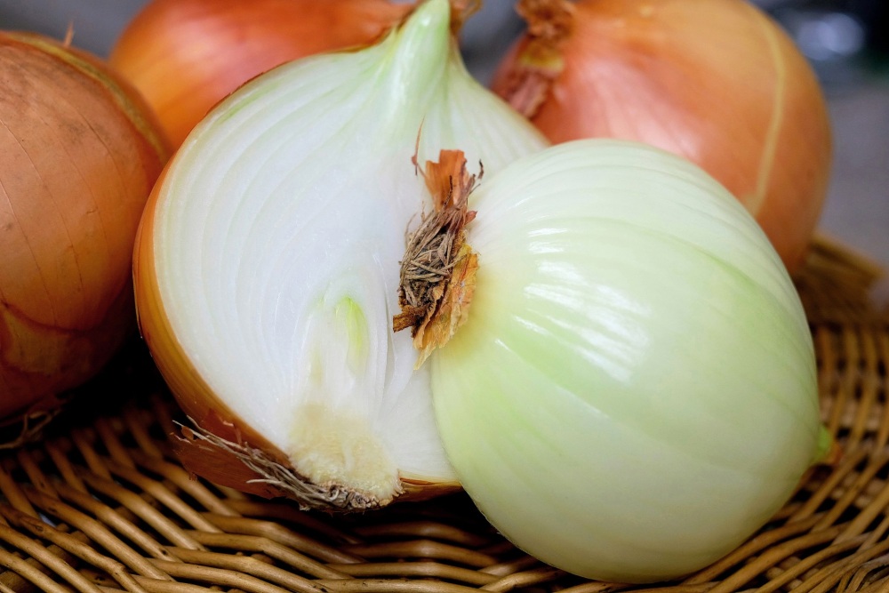 Organized each year by the Weslaco Area Chamber of Commerce, this annual community festival celebrates the sweet Texas 1015 onion. Annual Texas Onion Fest Features Live Music, Food, Demonstrations, and More | Weslaco, Texas, USA