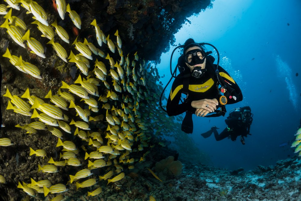 10 Fun Activities to Challenge You