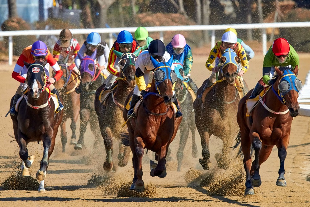 The Southern tradition features airshows, parades, concerts, and cultural events in the heart of Louisville. Kentucky Derby Festival Celebrates Iconic Horse Race with Parades, Fireworks, and Entertainment