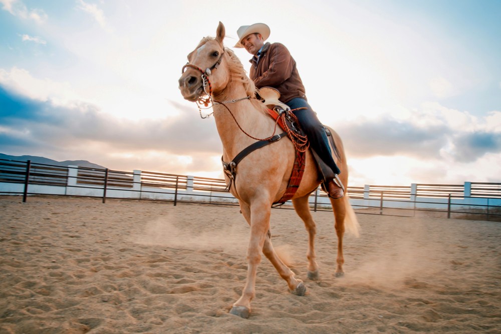 Top-Ranked Athletes Compete for the Title of Champion at Rodeo Austin | Austin, Texas, USA