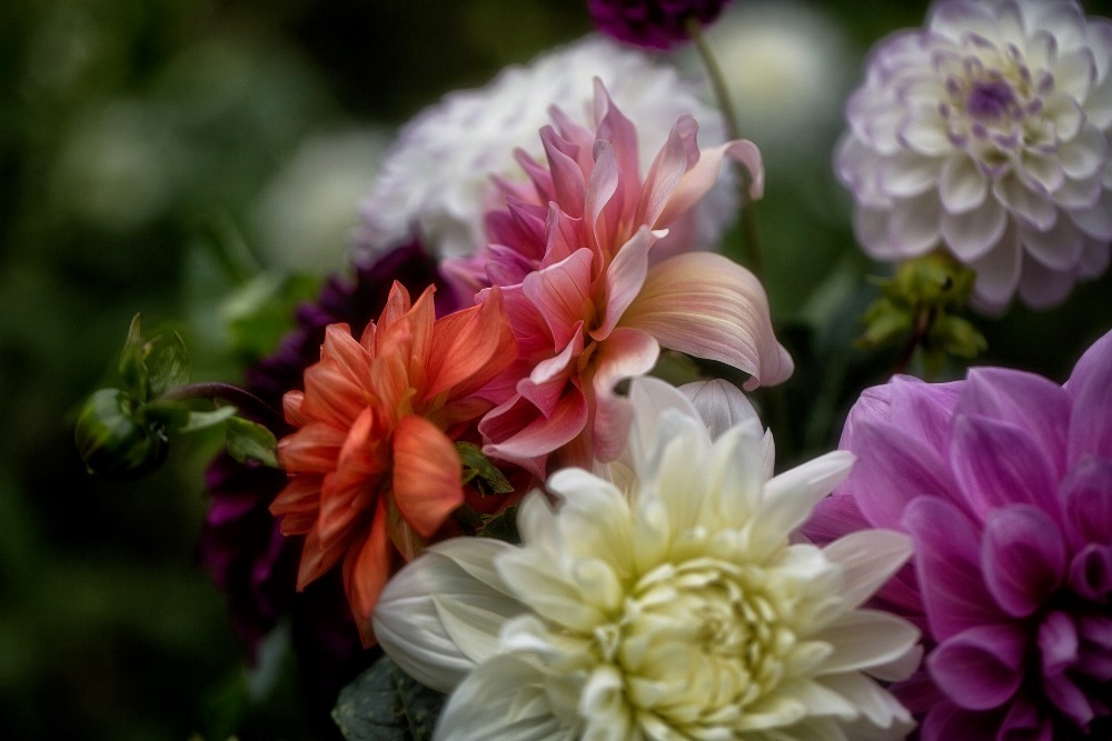 Find fun activities like botanic gardens along with other leisure activities, exciting adventures, and things to do in Galveston, Texas. Botanical Gardens | Fun Activities, Tourist Attractions, and Things to Do in Galveston | Life and Leisure | Galveston Island, Texas, USA