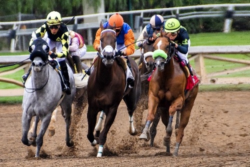 Horse Racing News, Tracks, and Wagering