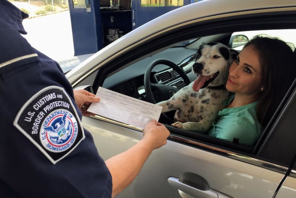 The process is usually quick and simple; but difficulties and delays can sometimes arise, and often passengers themselves are to blame. Tips for Crossing an International Border