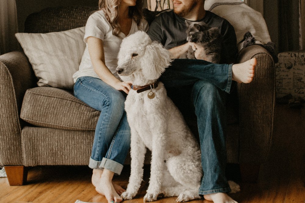Consider these potential explanations for why pet-owning couples may enjoy life the most. 8 Reasons That Couples With Pets Are Happier