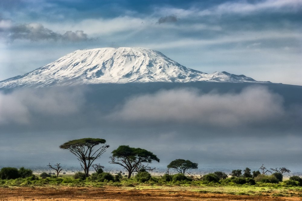 This type of trek is more than just a climb; it's a voyage that will remain etched in your memory indefinitely. An Exhilarating Day Hike Adventure on Mount Kilimanjaro