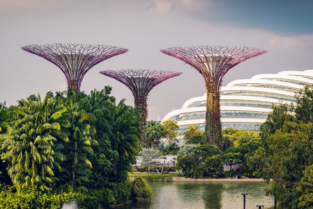 Known for its vibrant and diverse culture, the Garden City offers many activities and attractions that cater to all ages. Planning a Day of Family Fun in Singapore