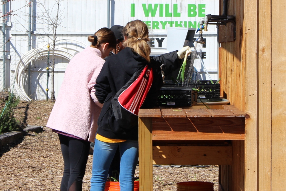 Bonton Farms Fresh Produce, ChefInspired Meals, and Community