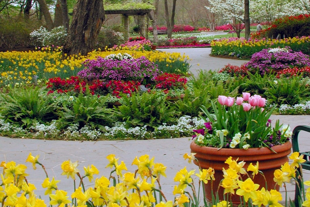 Dallas Arboretum And Botanical Garden Dallas Blooms Mad