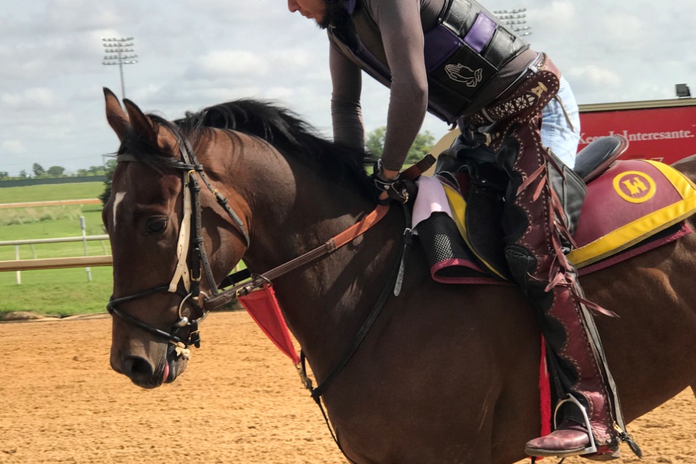 Lone Star Park Exciting Live Horse Racing and Wagering Grand