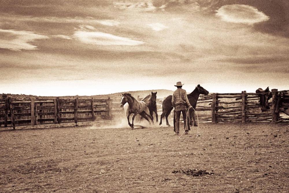 The day of culture, connections, and creativity will honor the legacy and vision of the late Bill Wittlif. Texas State's Wittliff Collections Announces New Date for Inaugural Festival