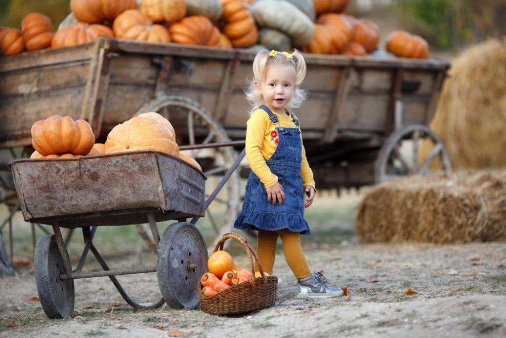 Only 25 miles from downtown Austin, Old Town Uhland hosts the premier fall festival, promising an autumn wonderland of family fun. The Second Annual Uhland Fall Fest Returns for Six Weekends of Fun