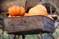 Uhland Fall Fest Returns for Six Weekends of Fun