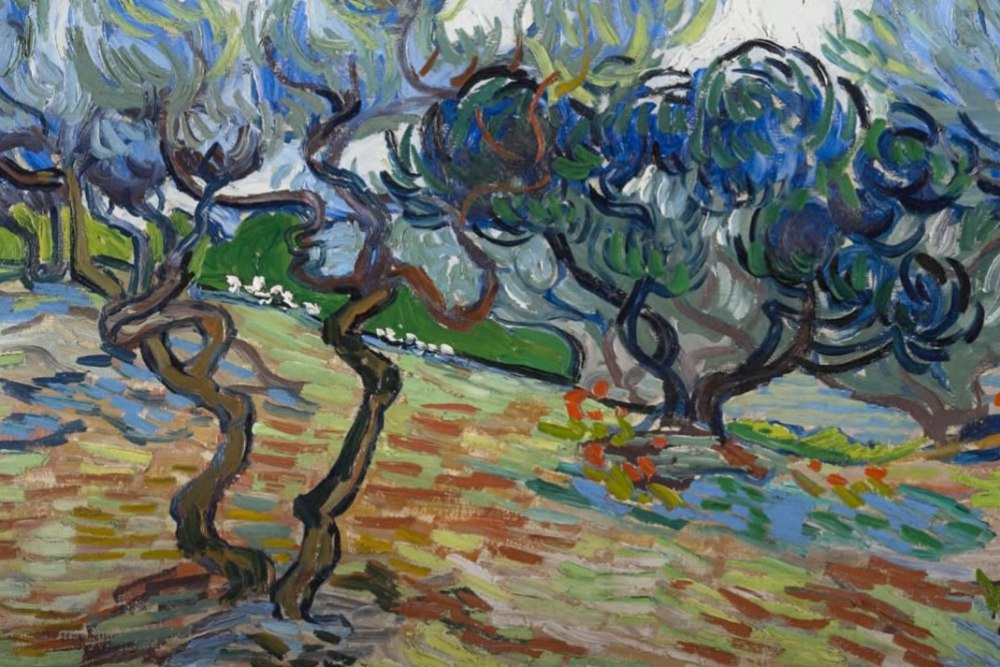 VIDEO: Van Gogh and the Olive Groves Is Coming Soon to the Dallas Museum of Art