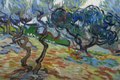VIDEO: Van Gogh and the Olive Groves Is Coming Soon