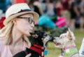 Party With Pints and Pups at Addison Circle Park