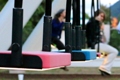 Fort Worth Botanic Garden Debuts Musical Swings