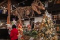 VIDEO: Houston Museum of Natural Science Hosts Jingle Tree
