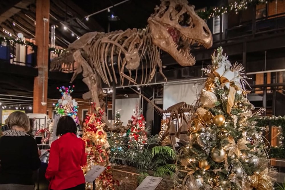 VIDEO: Houston Museum of Natural Science Hosts Jingle Tree 2021