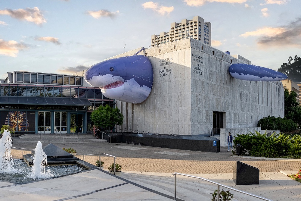 'Seas' the day and confront your favorite apex predator up close when Sharks! The Meg, The Monsters & The Myths opens May 26. A Fin-Tastic Shark Tale at the Houston Museum of Natural Science