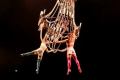 VIDEO: Cirque du Soleil 60-Minute Special (Corteo, Volta, Totem)