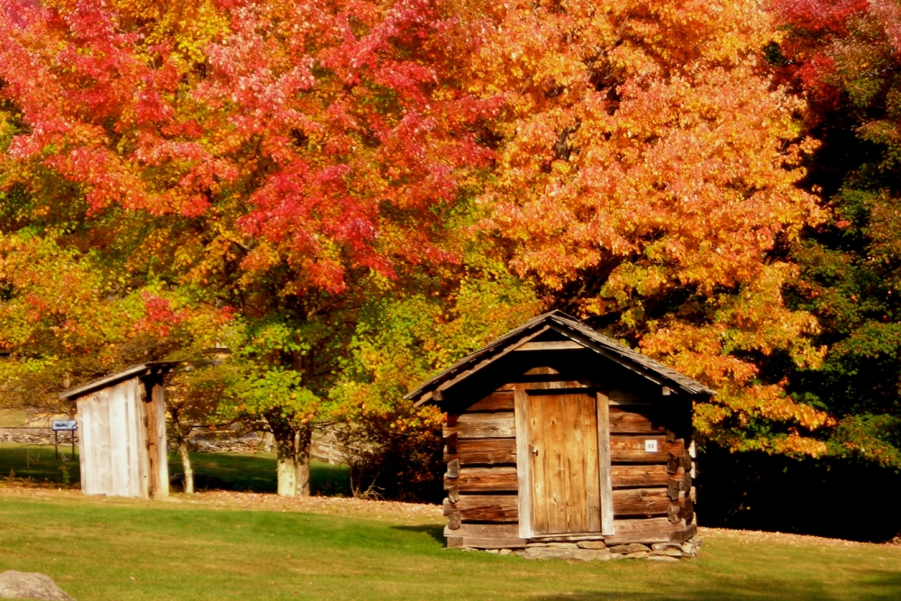 Viewfinders are equipped with special lenses to help those with red-green Color Vision Deficiency experience an expanded range of visible color. Virginia State Parks Install EnChroma-adapted Viewfinders for Colorblind Guests