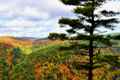 Potter-Tioga Named Top 5 Fall Destination