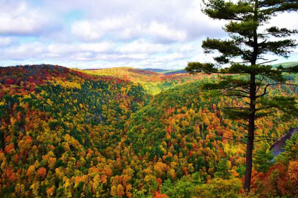 Nestled in Pennsylvania's Appalachian Mountains, Potter and Tioga counties offer spectacular fall scenery and outdoor adventure. Pennsylvania's Potter-Tioga Region Named a Top Five Fall Destination