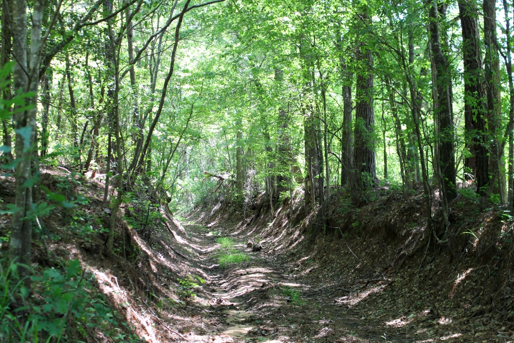 Following El Camino Real de los Tejas National Historic Trail through the Sabine County Area