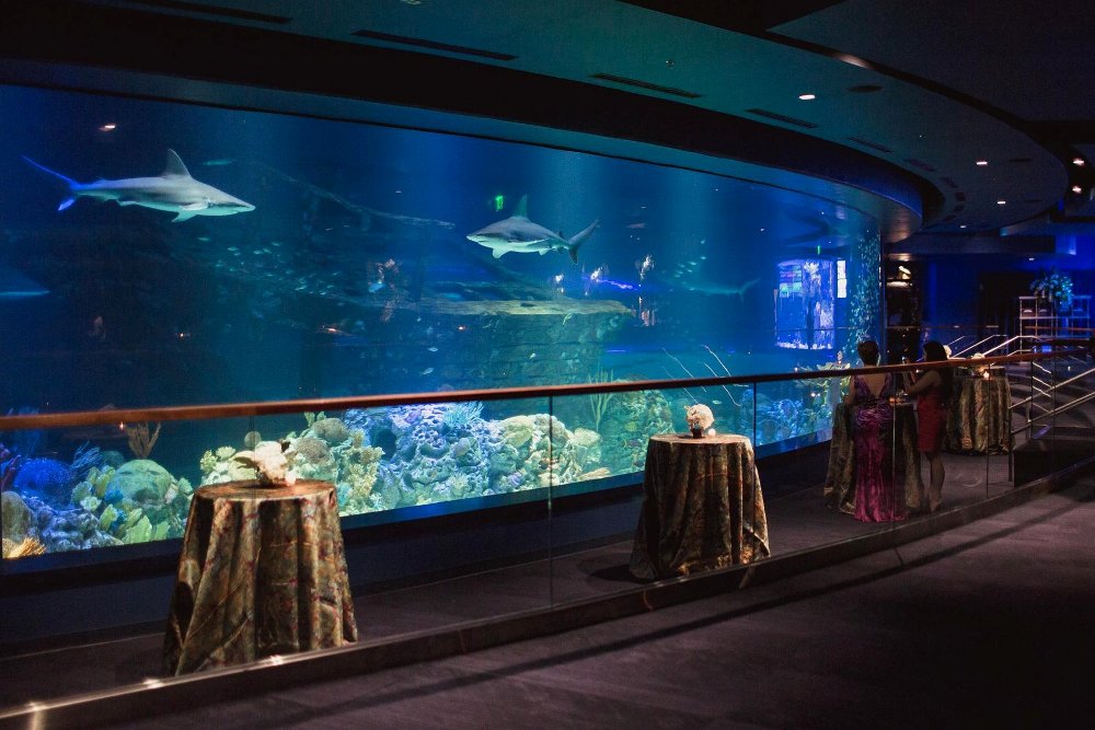 Texas State Aquarium