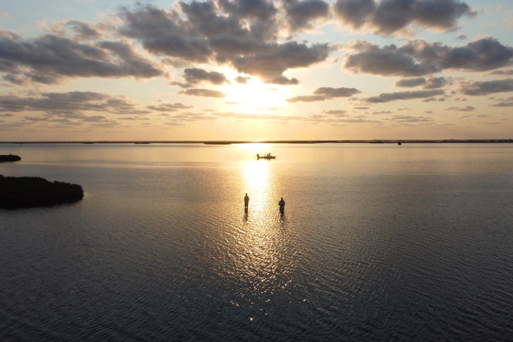 Captain Experiences offers deep-sea fishing charters, taking adventurers out on the Gulf Coast for thrilling fishing trips. Captain Experiences | Deep Sea Fishing Charters | Galveston, Texas