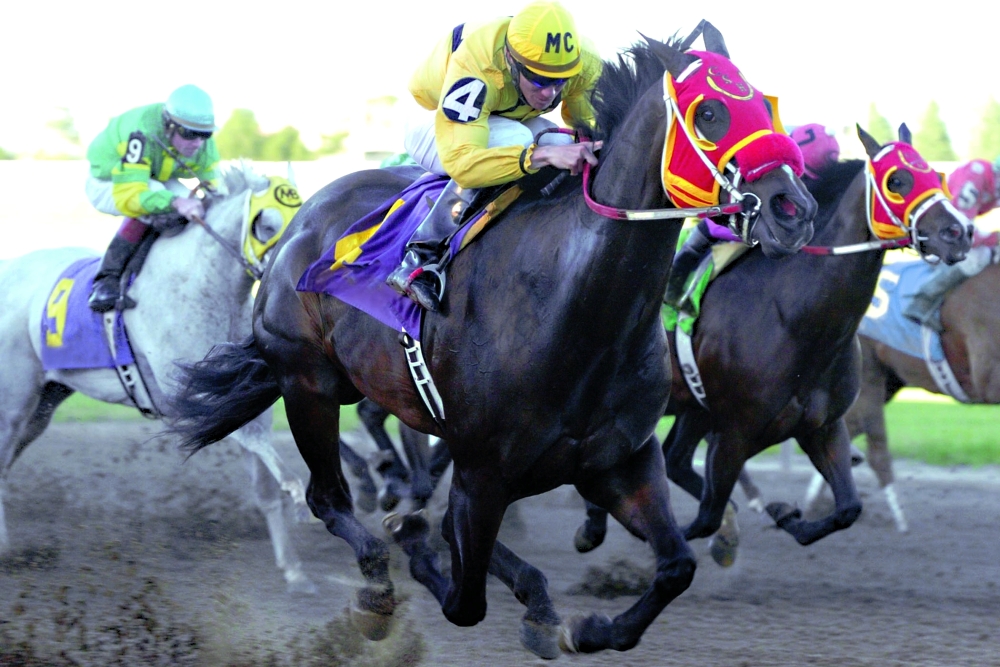 Sam Houston Race Park Hosts Horse Racing, Concerts, and Events