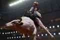 Texas Rattlers to Defend Undefeated Home Record at Rattler Days