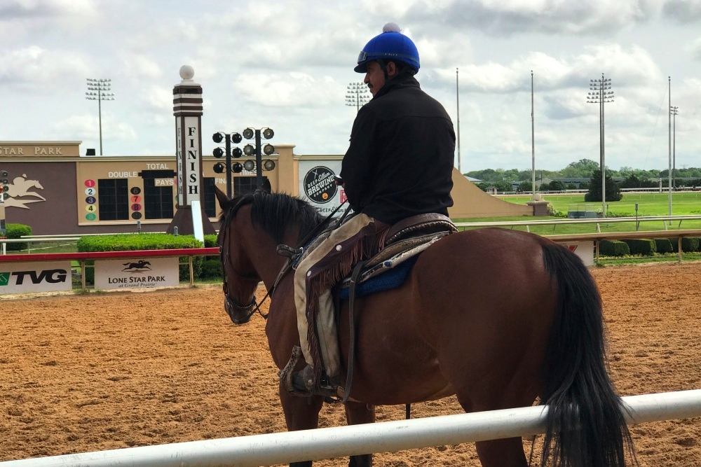 Lone Star Park Offers Exciting Live Horse Racing and Wagering