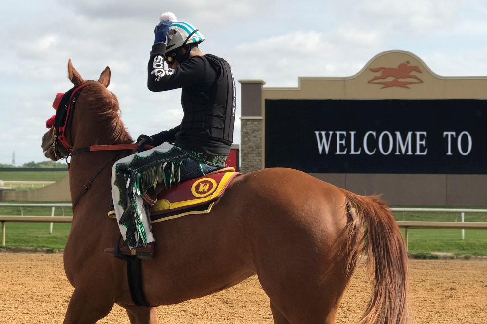 Lone Star Park Offers Exciting Live Horse Racing and Wagering