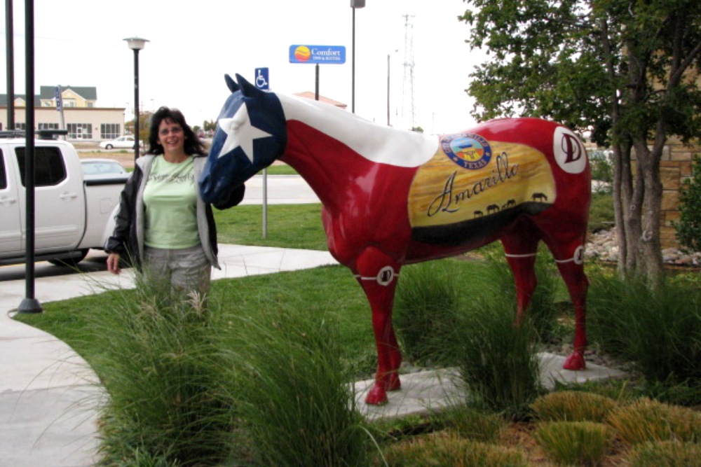 The Dynamite Museum collection and Hoof Prints of the American Quarter Horse art installations are designed with a good-natured intent by local artists. Dynamite Museum Street Signs