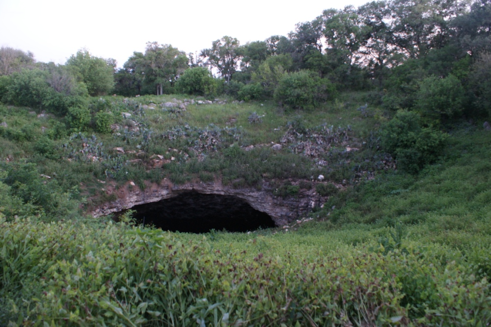 Home to one of the largest colonies of Mexican free-tailed bats in North America, Bracken Bat Cave offers visitors a chance to observe these fascinating creatures in their natural environment. Bracken Bat Cave