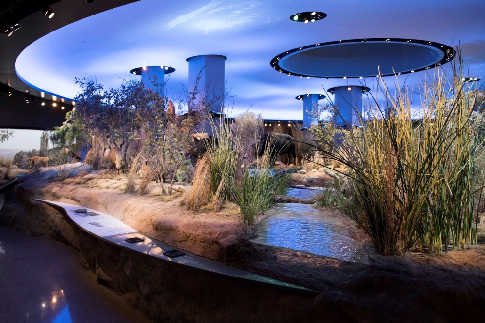 Witte Museum | History, Science, Culture | San Antonio, Texas