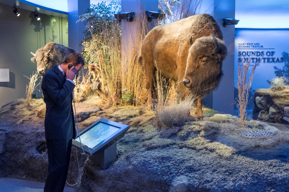 Witte Museum | History, Science, Culture | San Antonio, Texas
